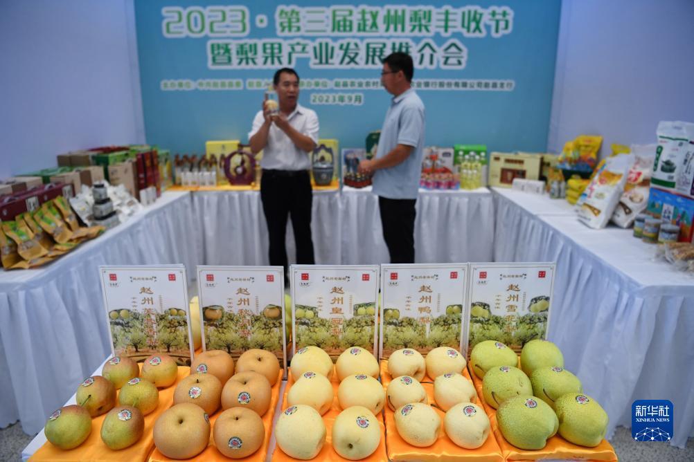 新豪游戏